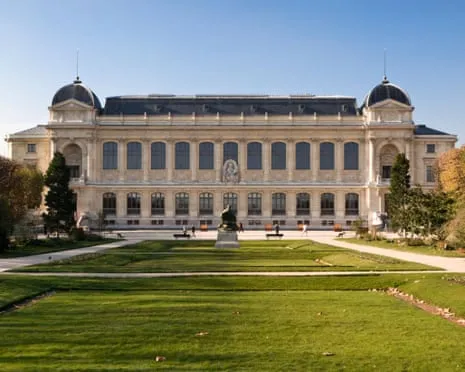 Priceless Golden Pieces Snatched in Audacious Robbery at French Natural History Museum