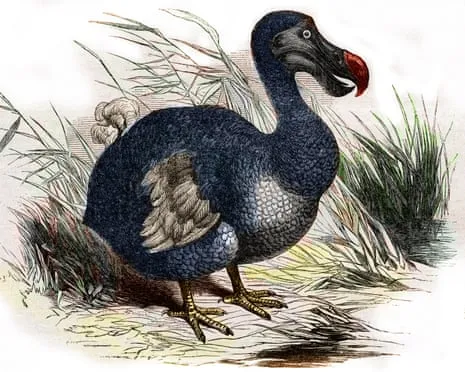 Scientists Assert They Have Achieved a ‘Key Milestone’ in Resurrecting the Extinct Bird for the First Time in Three Centuries